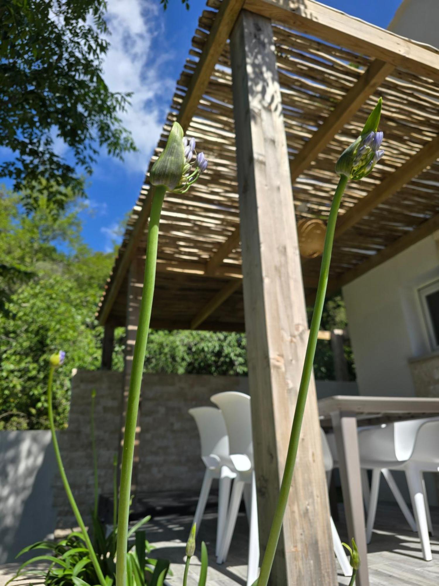 Petite Maison - Porto-Vecchio ภายนอก รูปภาพ